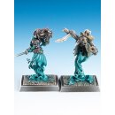 Freebooter`s Fate: Dunkle Piraten (2)