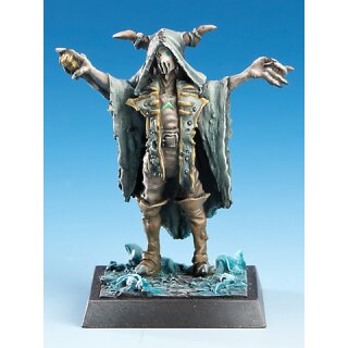 Freebooter`s Fate: Flüsterer