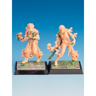 Freebooter`s Fate: Nebelwölfe