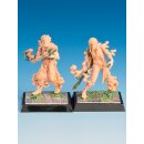 Freebooter`s Fate: Nebelwölfe