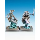 Freebooter`s Fate: Schleicher