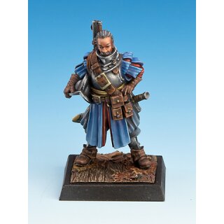 Freebooter`s Fate: Toledo