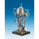 Freebooter`s Fate: Xicoa