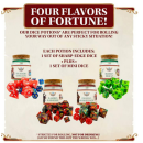 Flavor of Fortune Dice Potion Blackbirds Blood Remedy (14)