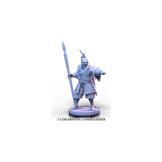 Blood & Plunder: Unaligned Maroon Commander