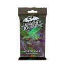 Dragons of Etchinstone: Northvale (EN)