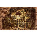 Heckna! Fabric Maphew World Map