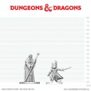 D&D Nolzur`s Marvelous Miniatures: Cultist of Bhaal...