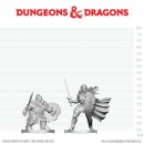 D&D Nolzur`s Marvelous Miniatures: Dwarf Fighter...
