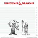 D&D Nolzur`s Marvelous Miniatures: Human Druid &...