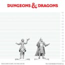 D&D Nolzur`s Marvelous Miniatures: Knight & Mage...