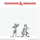 D&D Nolzur`s Marvelous Miniatures: Tiefling Bard...