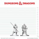 D&D Nolzur`s Marvelous Miniatures: Town Guards