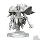 D&D Nolzur`s Marvelous Miniatures: Aasimar Cleric Male
