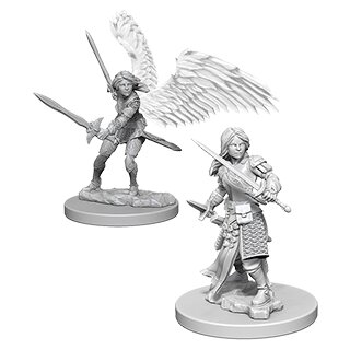 D&D Nolzur`s Marvelous Miniatures: Aasimar Female Paladin