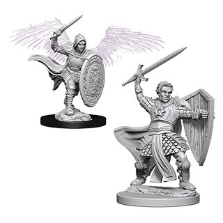 D&D Nolzur`s Marvelous Miniatures: Aasimar Male Paladin