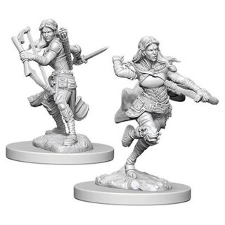 D&D Nolzur`s Marvelous Miniatures: Air Genasi Female Rogue