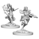 D&D Nolzur`s Marvelous Miniatures: Air Genasi Female...
