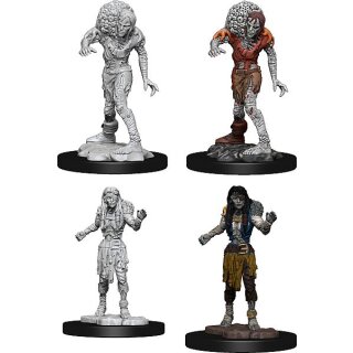 D&D Nolzur`s Marvelous Miniatures: Assassin & Drowned Asetic