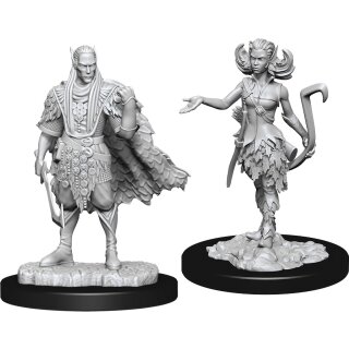 D&D Nolzur`s Marvelous Miniatures: Autumn Eladrin & Summer Eladrin