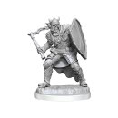 D&D Nolzur`s Marvelous Miniatures: Death Knights