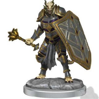 D&D Nolzur`s Marvelous Miniatures: Dragonborn Clerics