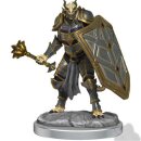 D&D Nolzur`s Marvelous Miniatures: Dragonborn Clerics