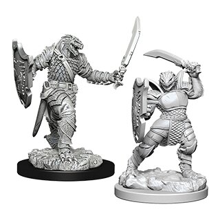 D&D Nolzur`s Marvelous Miniatures: Dragonborn Female Paladin