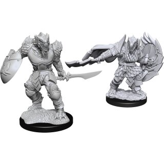 D&D Nolzur`s Marvelous Miniatures: Dragonborn Fighter Male