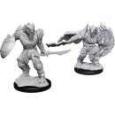 D&D Nolzur`s Marvelous Miniatures: Dragonborn Fighter...