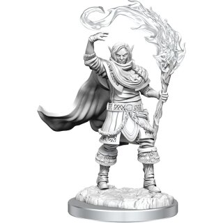 D&D Nolzur`s Marvelous Miniatures: Elf Cleric Male