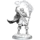 D&D Nolzur`s Marvelous Miniatures: Elf Cleric Male