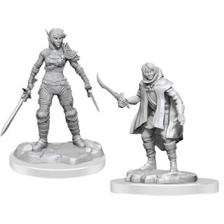 D&D Nolzur`s Marvelous Miniatures: Elf Rogue & Half-Elf Rogue Protege