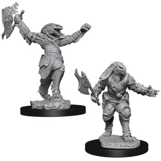 D&D Nolzur`s Marvelous Miniatures: Female Dragonborn Fighter