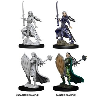 D&D Nolzur`s Marvelous Miniatures: Female Elf Paladin