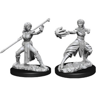 D&D Nolzur`s Marvelous Miniatures: Female Half-Elf Monk