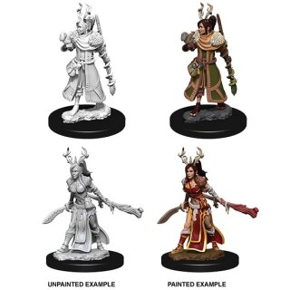 D&D Nolzur`s Marvelous Miniatures: Female Human Druid