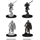 D&D Nolzur`s Marvelous Miniatures: Female Human Fighter