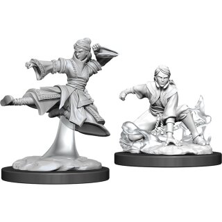 D&D Nolzur`s Marvelous Miniatures: Female Human Monk