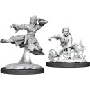 D&D Nolzur`s Marvelous Miniatures: Female Human Monk
