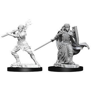 D&D Nolzur`s Marvelous Miniatures: Female Human Paladin