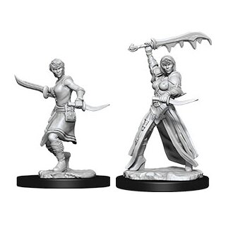 D&D Nolzur`s Marvelous Miniatures: Female Human Rogue