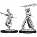 D&D Nolzur`s Marvelous Miniatures: Female Human Rogue