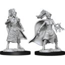 D&D Nolzur`s Marvelous Miniatures: Female Human Sorcerer
