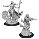 D&D Nolzur`s Marvelous Miniatures: Female Human Wizard