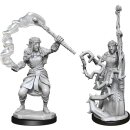 D&D Nolzur`s Marvelous Miniatures: Firbolg Druid Female