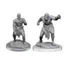 D&D Nolzur`s Marvelous Miniatures: Flesh Golems