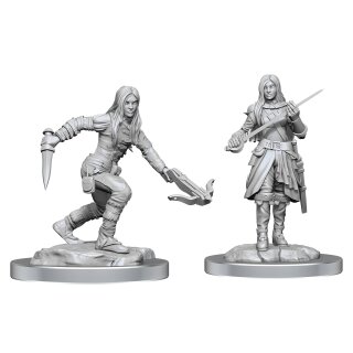 D&D Nolzur`s Marvelous Miniatures: Half-Elf Rogue Female