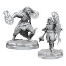 D&D Nolzur`s Marvelous Miniatures: Half-Elf Warlock
