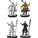 D&D Nolzur`s Marvelous Miniatures: Half-Elf Wizard Male
